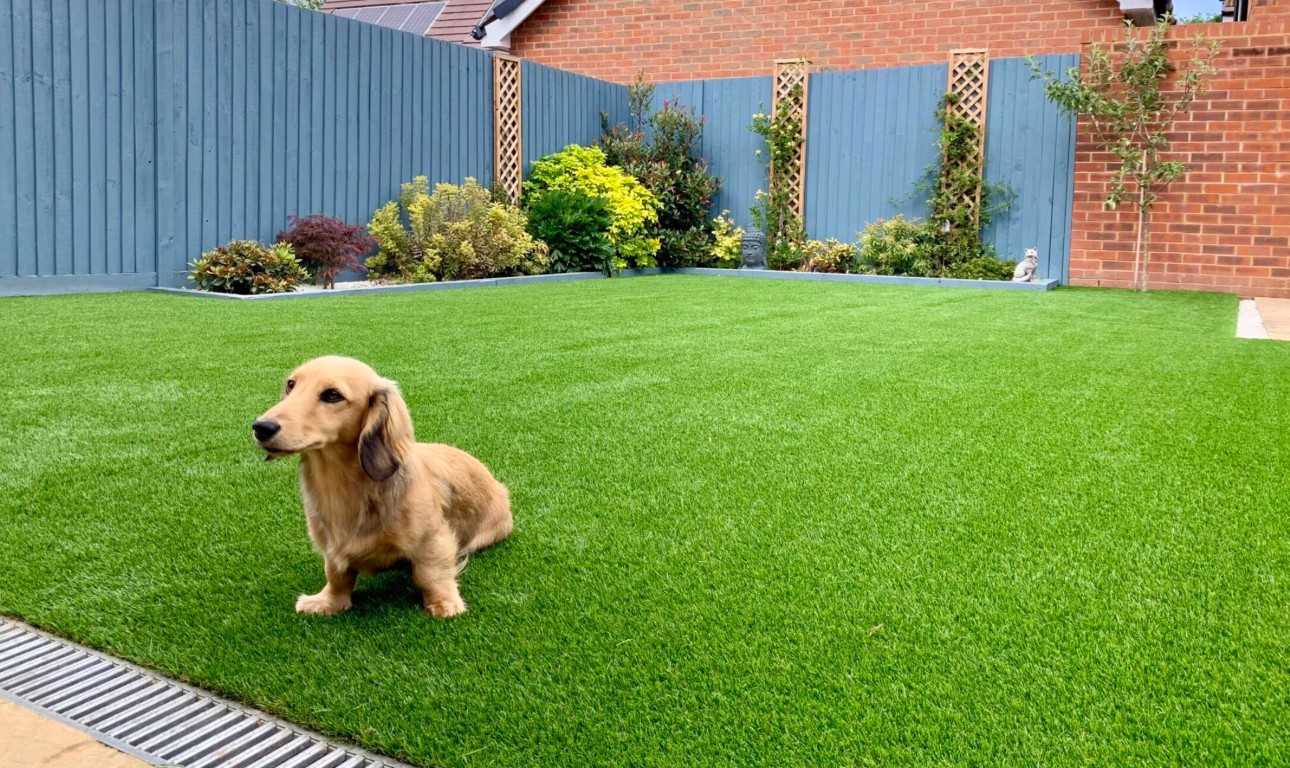 Pet-friendly artificial turf with dog in Bellevue, NE